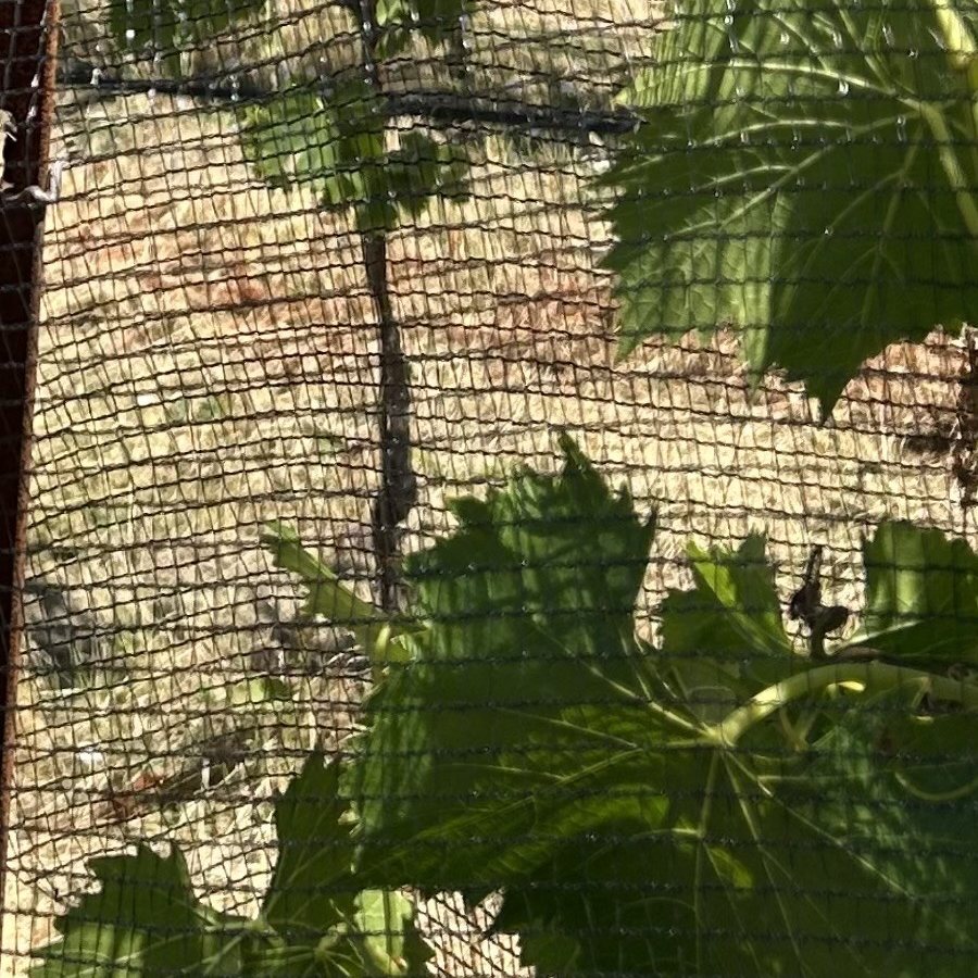 Détail de la maille ouverte du filet climatique gamme Essentiel